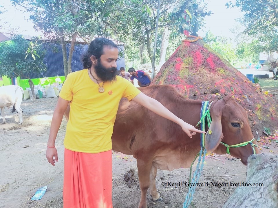 गाइवस्तु तस्करीका नाइकेलाइ प्रहरी प्रशासनले उम्काउन खाेज्याे,तर म छाेड्दिन : गोब्रती योगी सोमराज