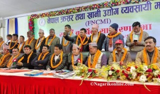 नेपाल क्रसर तथा खानी उद्योग महासंघमा न्यौपानेको नेतृत्व,थापा १२ मतले पराजित