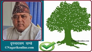 कांग्रेस नेता पाण्डे लुम्बिनीबाट राष्ट्रियसभा सदस्यमा निर्वाचित [अन्तिम मतपरिणामसहित]