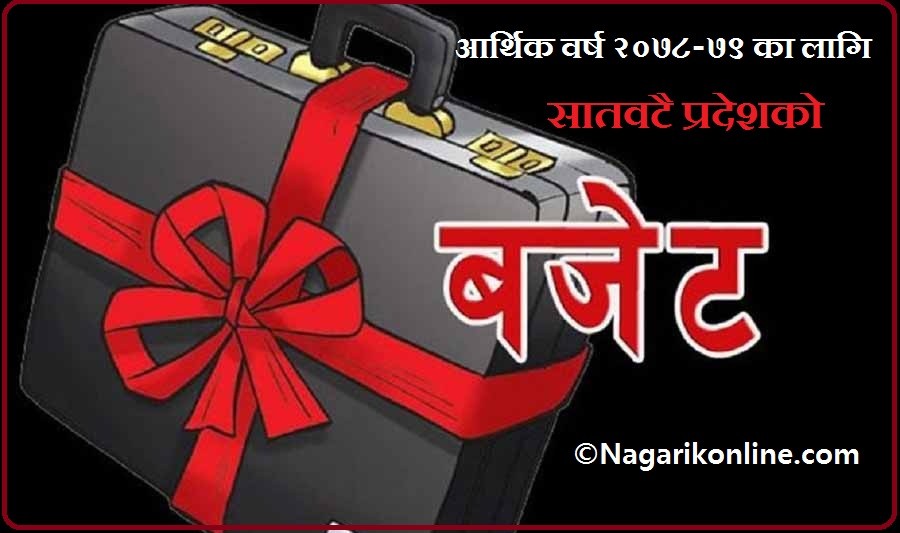 आर्थिक वर्ष २०७८-०७९ को बजेट : कुन प्रदेशमा कति ?