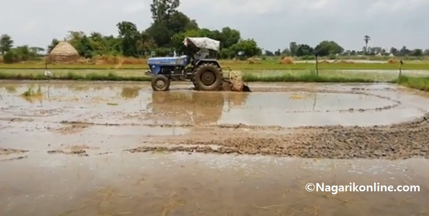 बजेट घटाएर कृषि लगानी दशक घोषणा, ५७ अर्ब २९ करोड विनियोजन