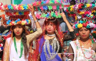 थारु समुदायमा अट्वारी पर्वको उल्लास (फाेटाेफिचर)