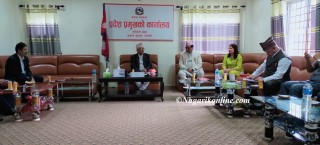 लुम्बिनी प्रदेश सरकार बिरूद्ध ७९ वटा मुद्धा,१७ वटा मात्रै फैसला