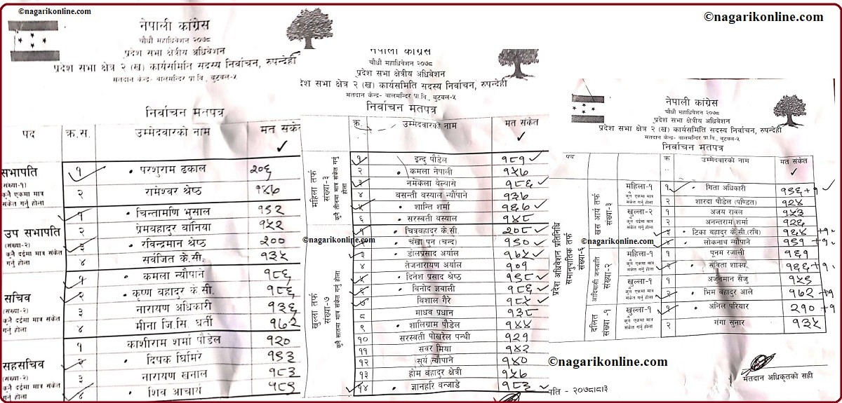 कांग्रेसको प्रदेशसभा क्षेत्रीय अधिवेशन : रूपन्देही क्षेत्र न.-२ मा पाैडेल समुहको बर्चश्व (नामावलीसहित)
