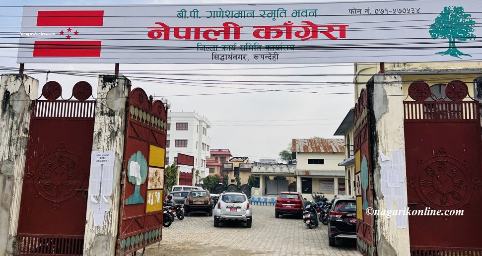 वीपी स्मृति दिवसमा काँग्रेस रुपन्देहीले बृक्षरोपण गर्ने