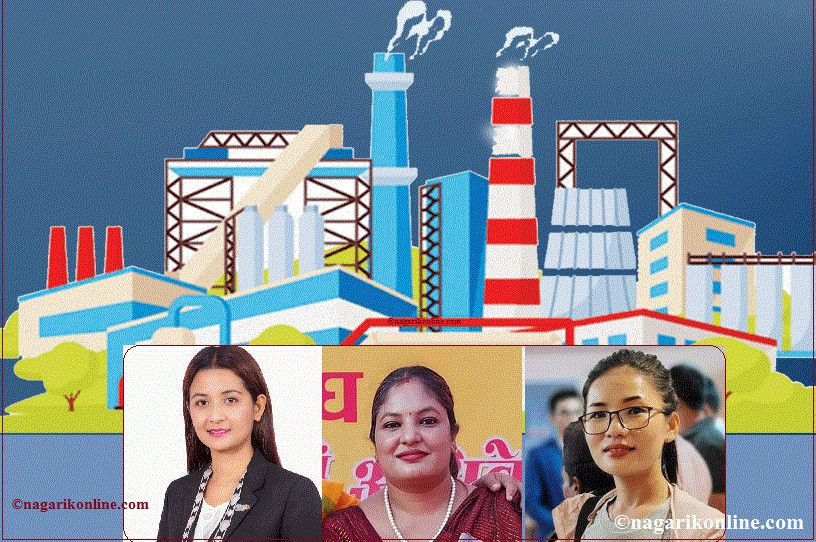 सपना पूरा गर्न संघर्ष गर्दै  महिला उद्यमी