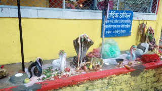 नागलाई दुधधार
