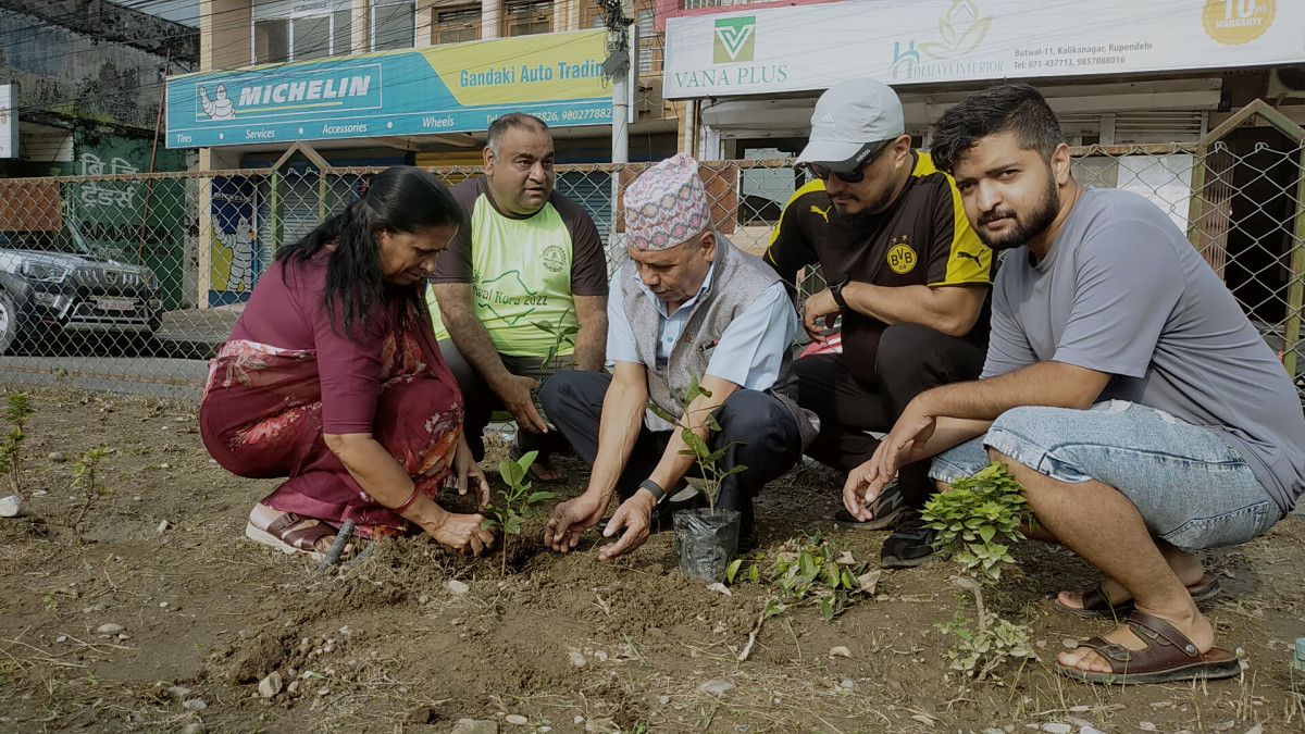 शिव टोल विकास संस्था कालिकानगरद्वारा सडक किनारमा बृक्षारोपण