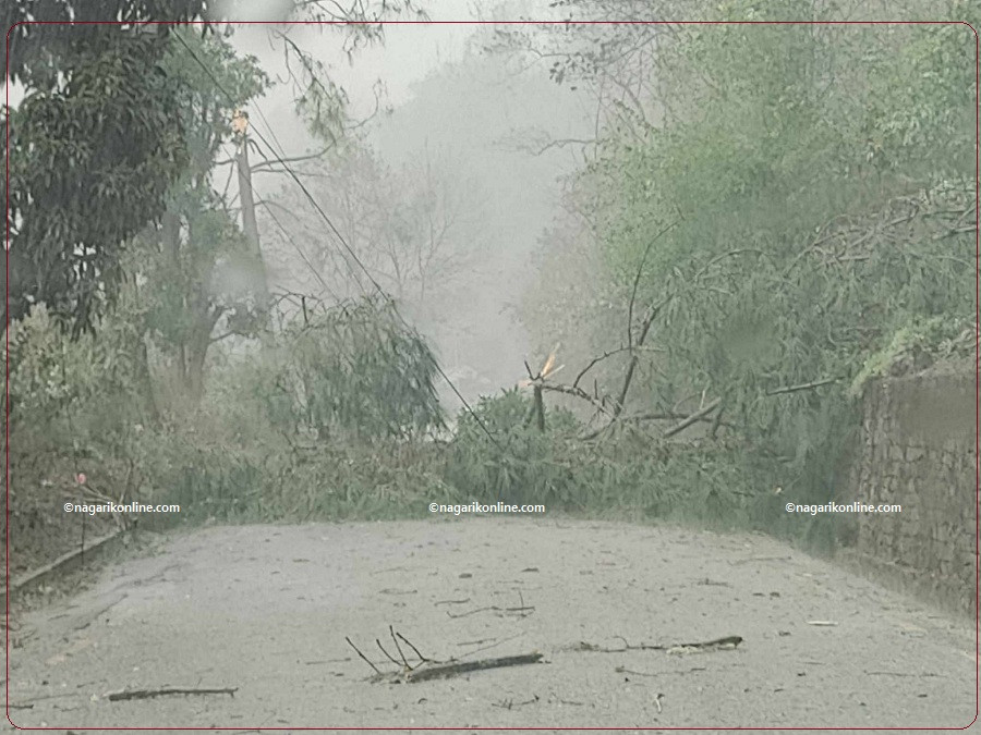 लुम्बिनी प्रदेश : हावाहुरी र सडक दुर्घटनामा सात जनाको मृत्यु, ८ जना घाइते