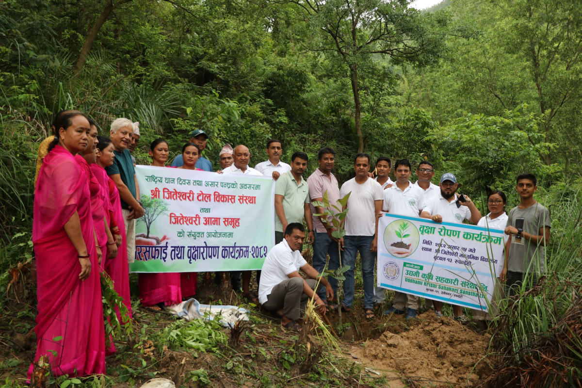 जितेश्वरी टोल र आमा समूहद्धारा बृक्षरोपण