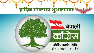 चाडपर्वहरूले समाजमा थप एकता र मेलमिलापको वातावरण बनाउछन् : गिरी