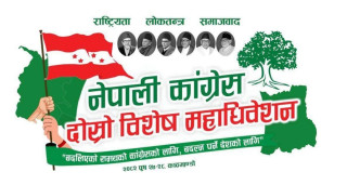 कांग्रेसका झण्डाले सिँगारिए उपत्यकाका सडक