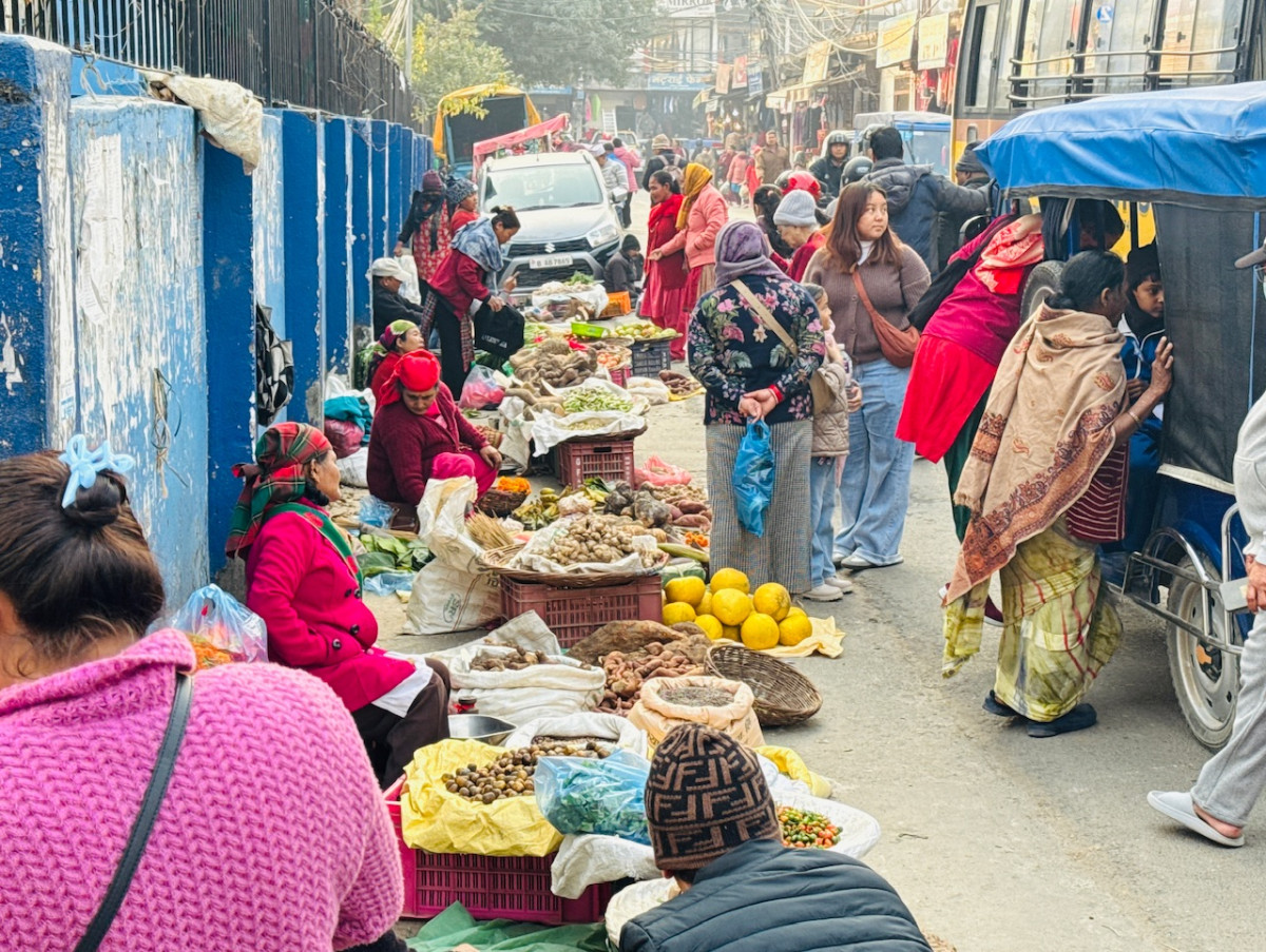 माघे सङ्क्रान्तिमा अत्यधिक खपत हुने तरुलको आयात ह्वात्तै बढ्यो