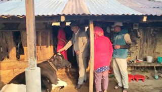 रुपन्देही एकलाई कृषिको पकेट क्षेत्र बनाउने योजना छ : उम्मेद्वार हिरा खत्री
