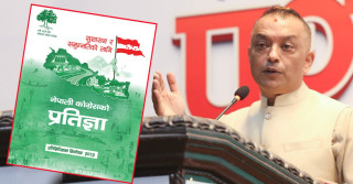 प्रतिज्ञापत्रमा कांग्रेसका भिजन १० समावेश