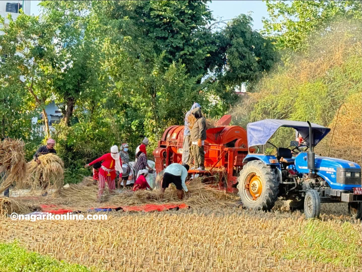 खेतिकिसानीमा ब्यस्त रूपन्देहीका किसान (फोटोफिचर)